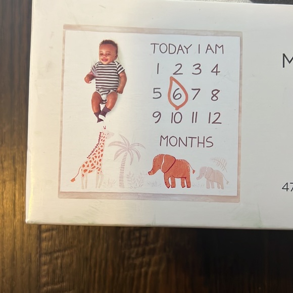 Modern Moments Monthly Blanket - Picture 2 of 4